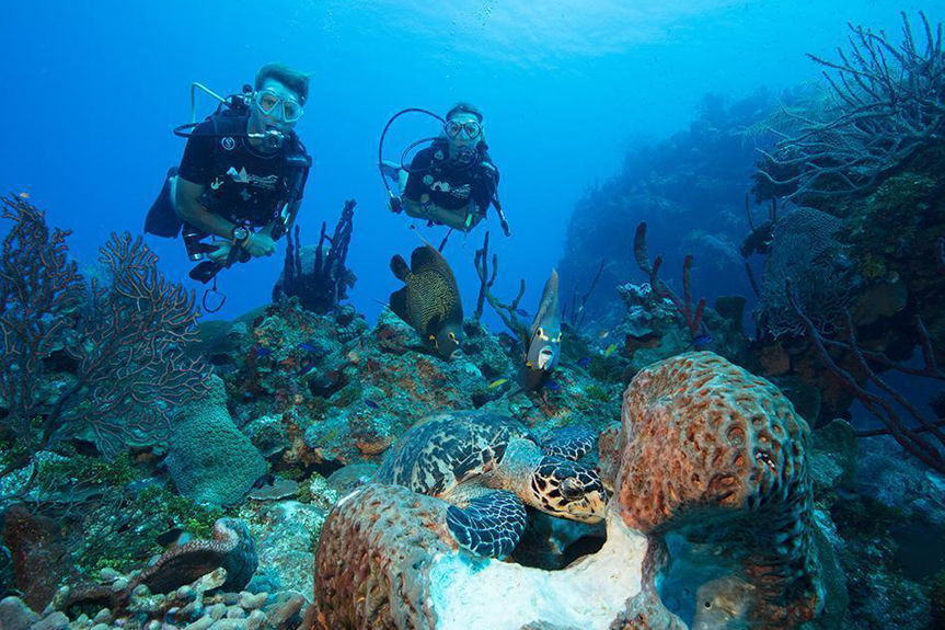 Negril Adventure Divers
 thumbnail 3