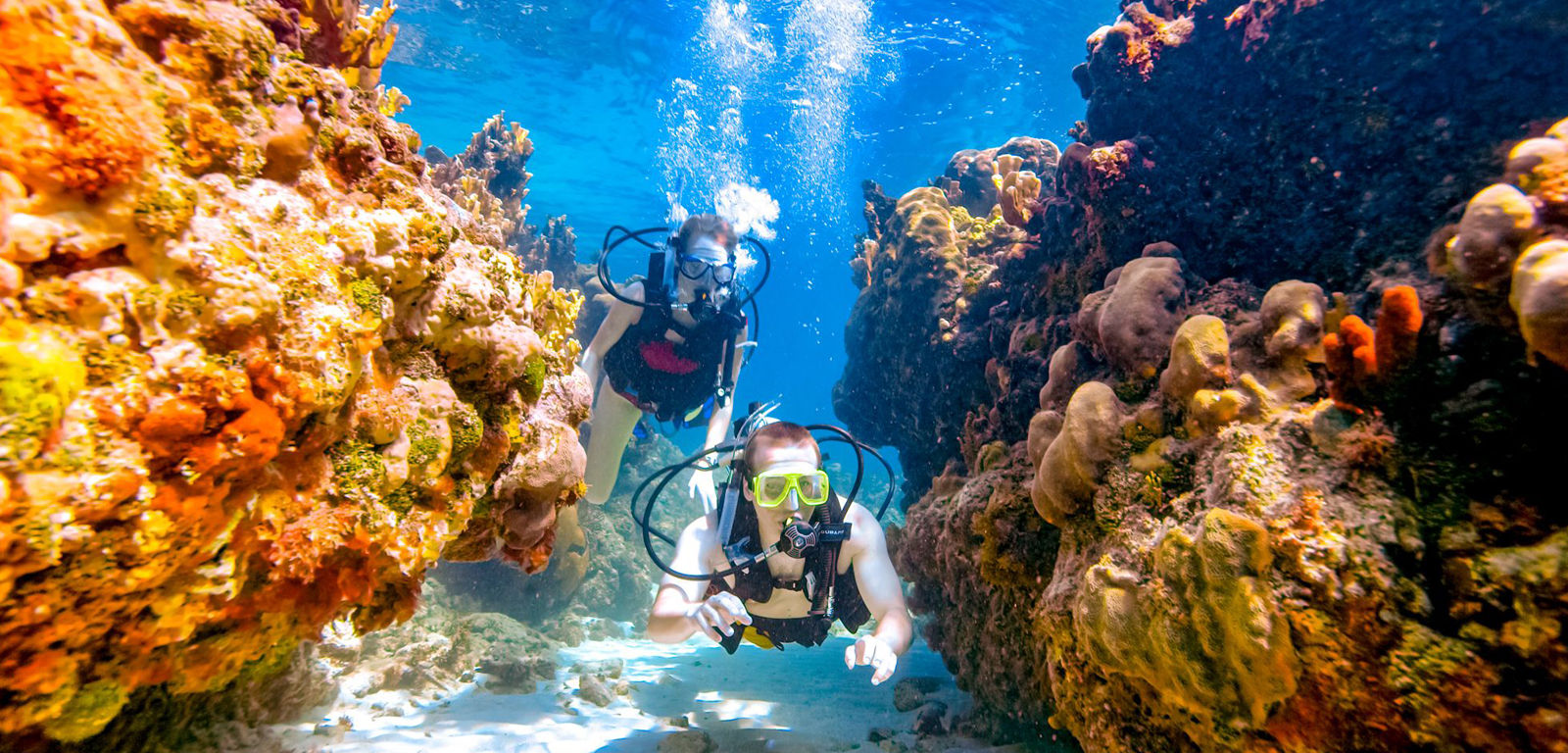 Coral Reef thumbnail 2