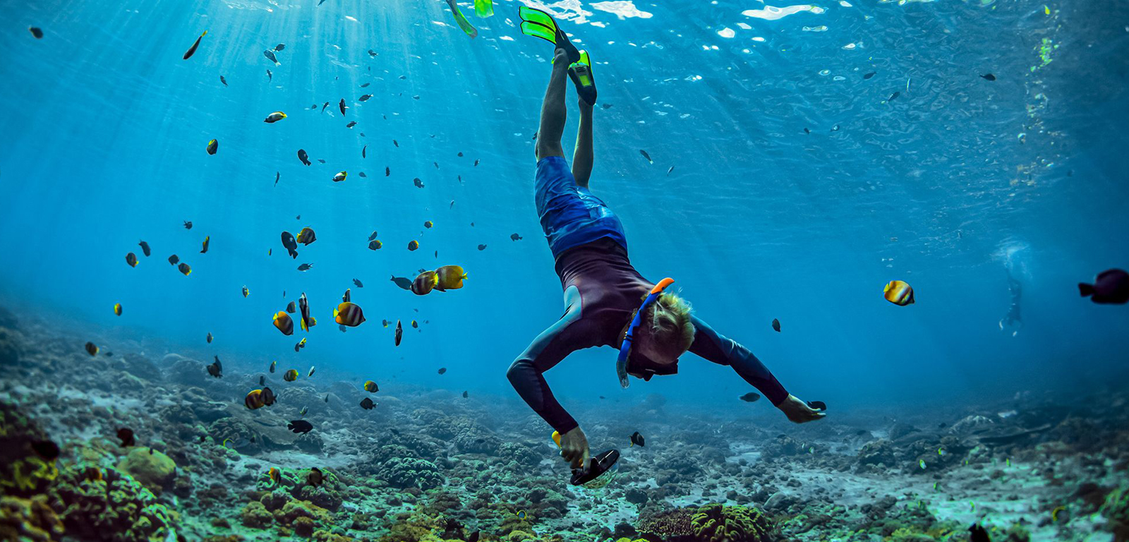 Coral Reef thumbnail 3