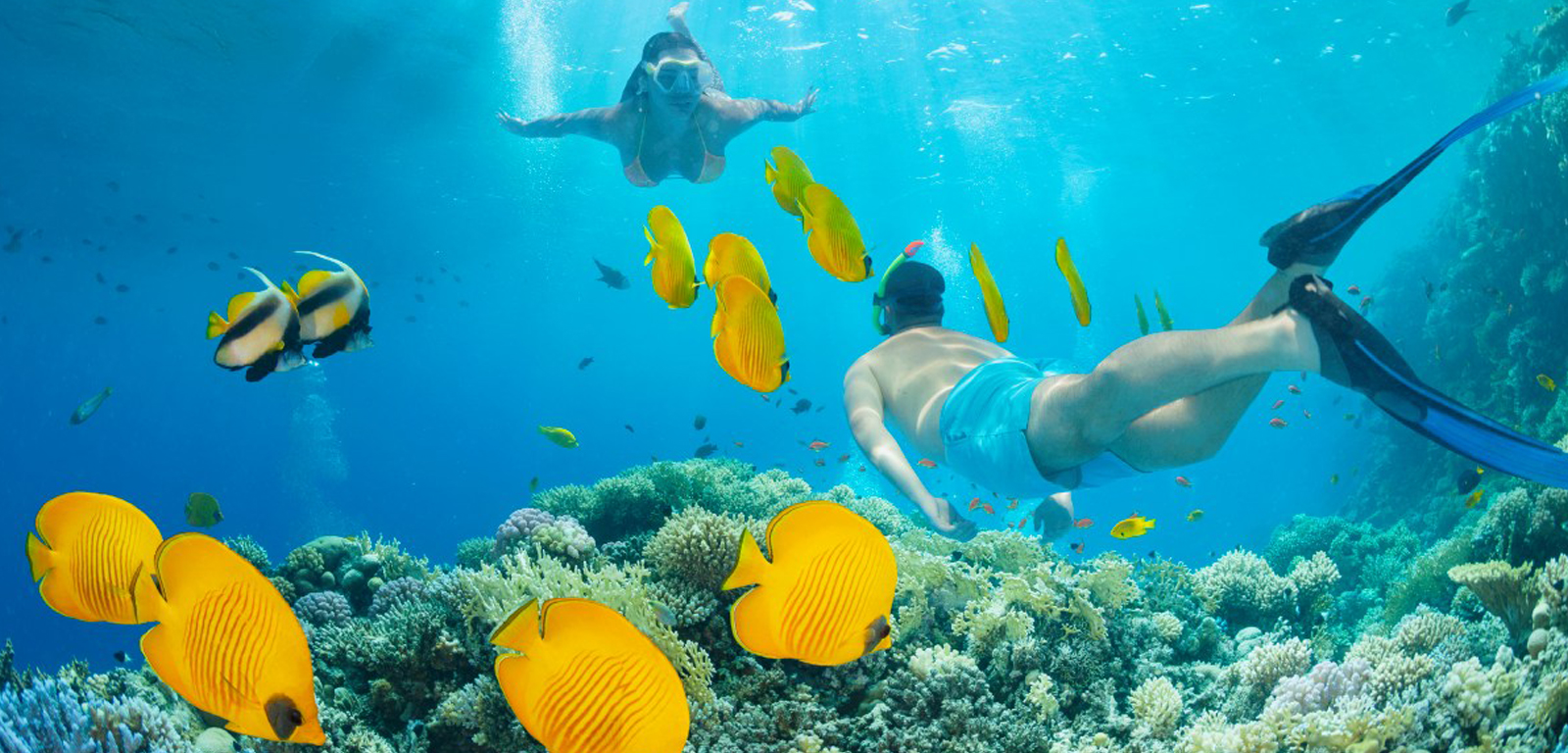 Coral Reef thumbnail 5