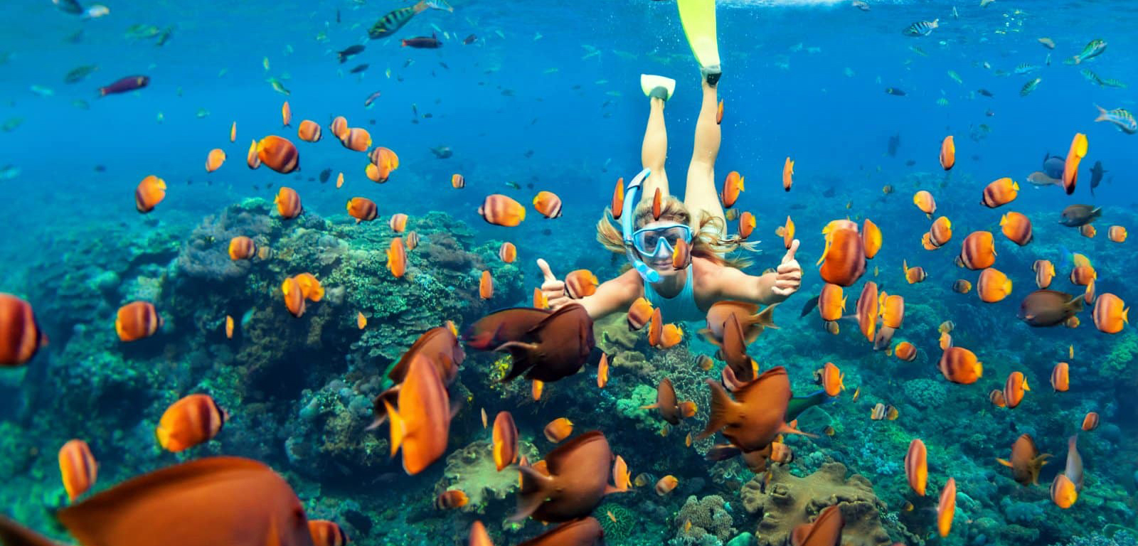 Coral Reef thumbnail 6