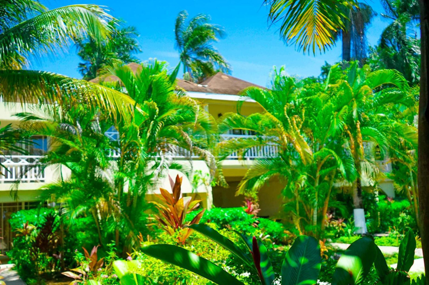 Ayurveda Beach Resort image 1