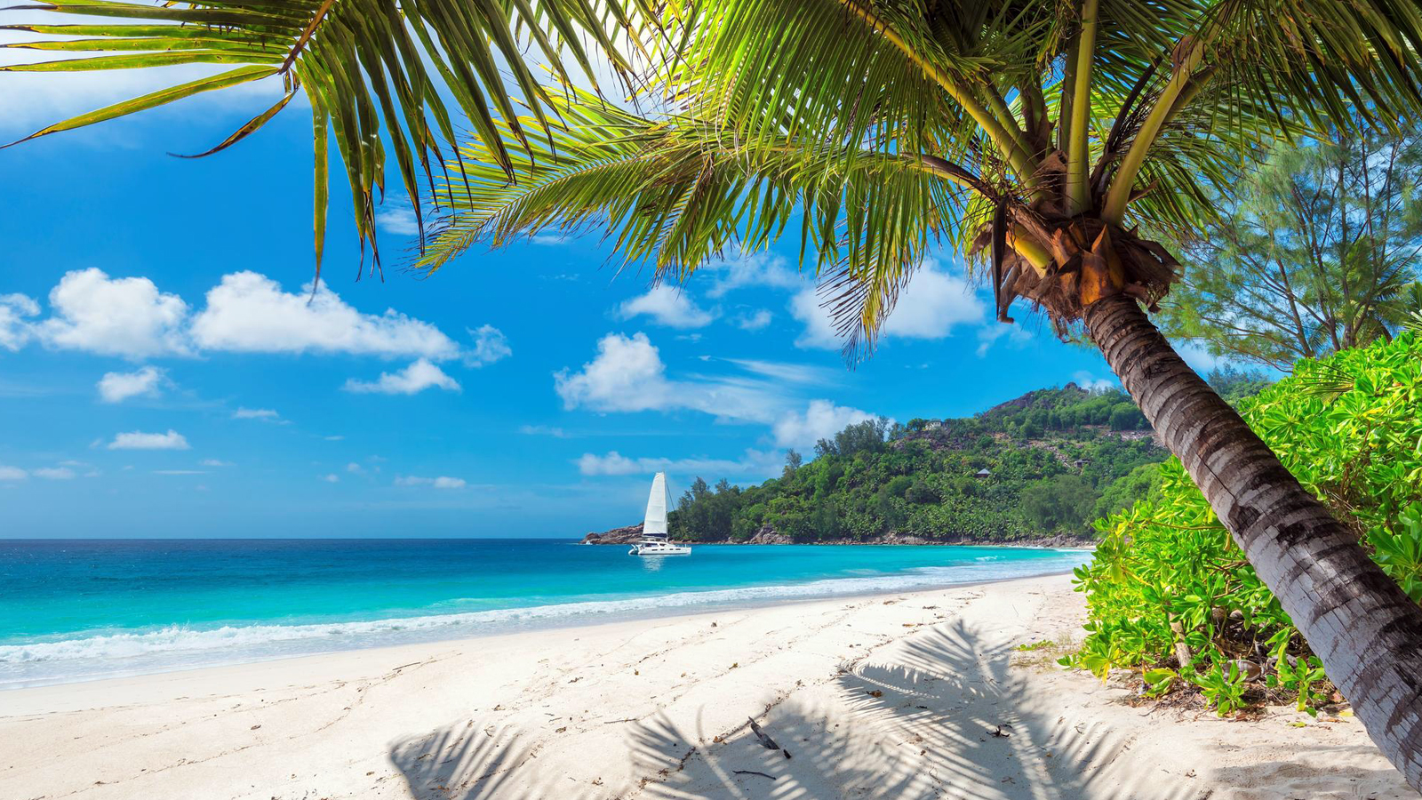 Seven Mile Beach thumbnail 5